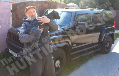 Новые владельцы